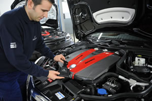 Engine Performance Specialists